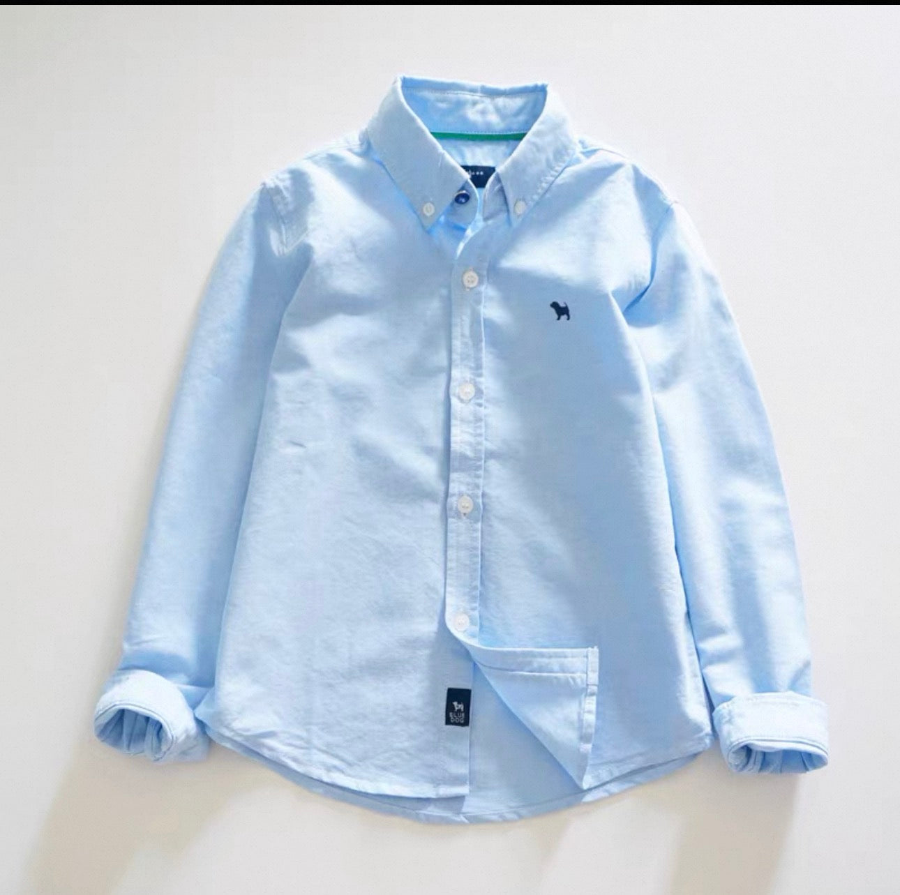Light blue button-up shirt on a white background