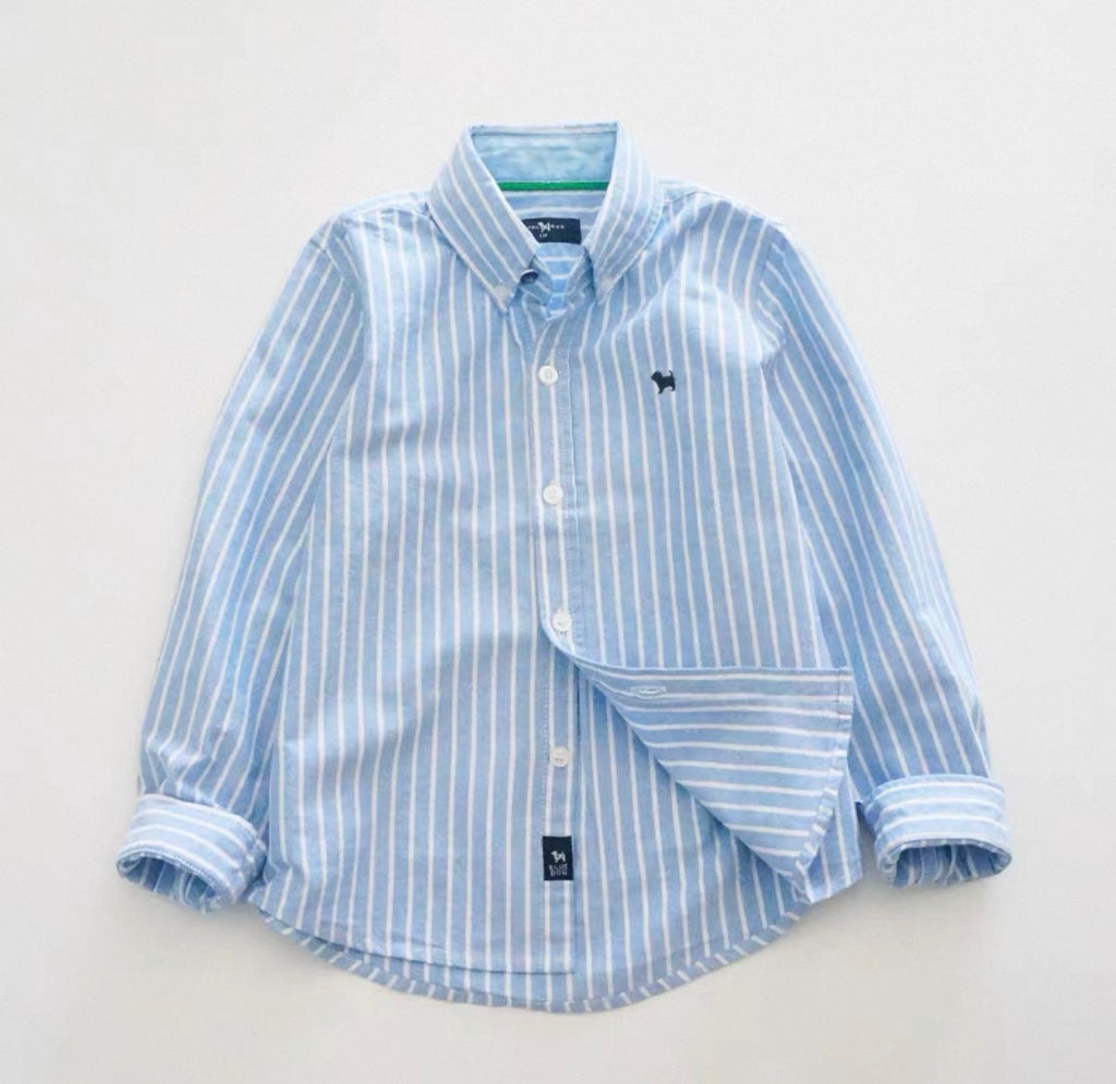 Blue and white striped shirt on a light gray background